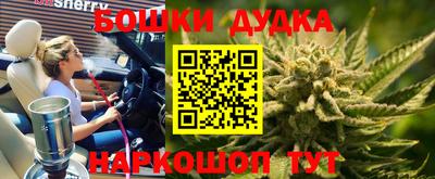 бошки Камышлов
