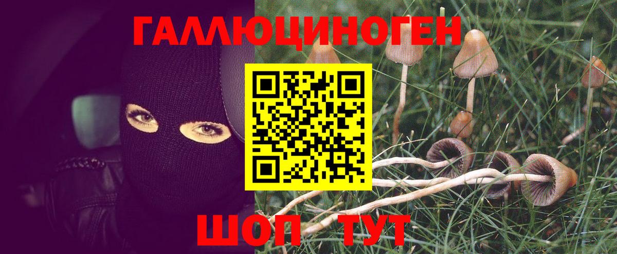 Галлюциногенные грибы мицелий  Вход с VPN  Галлюциногенные грибы MAGIC MUSHROOMS  Тейково 